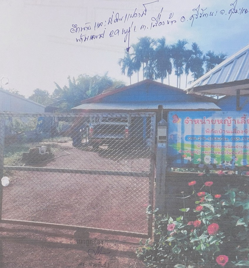 ขายทอดตลาด ที่ดินพร้อมสิ่งปลูกสร้าง ต.เสื่องข้าว อ.ศรีรัตนะ จ.ศรีสะเกษ