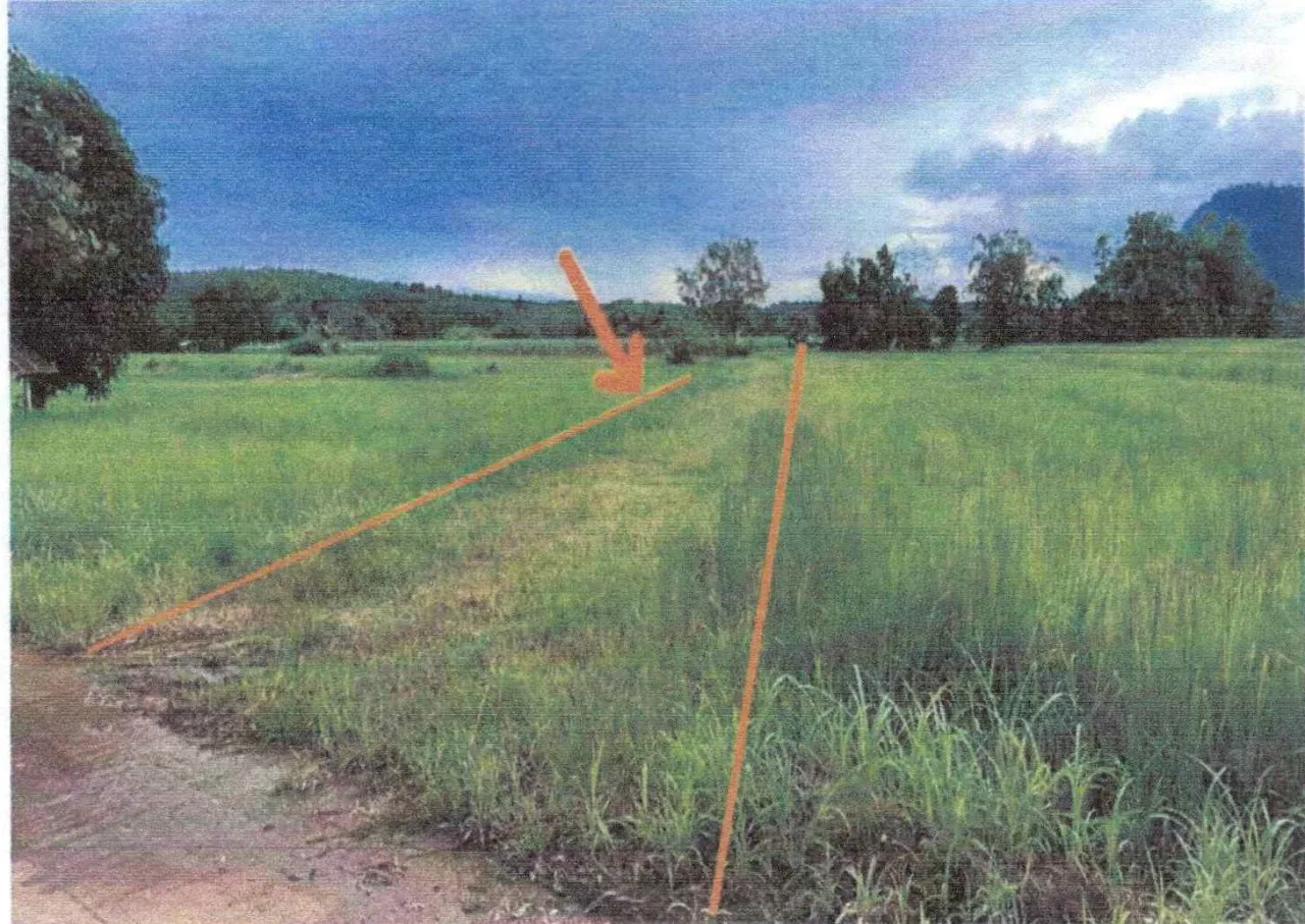 ขายทอดตลาด ที่ดินว่างเปล่า ต.เขาหลวง อ.วังสะพุง จ.เลย