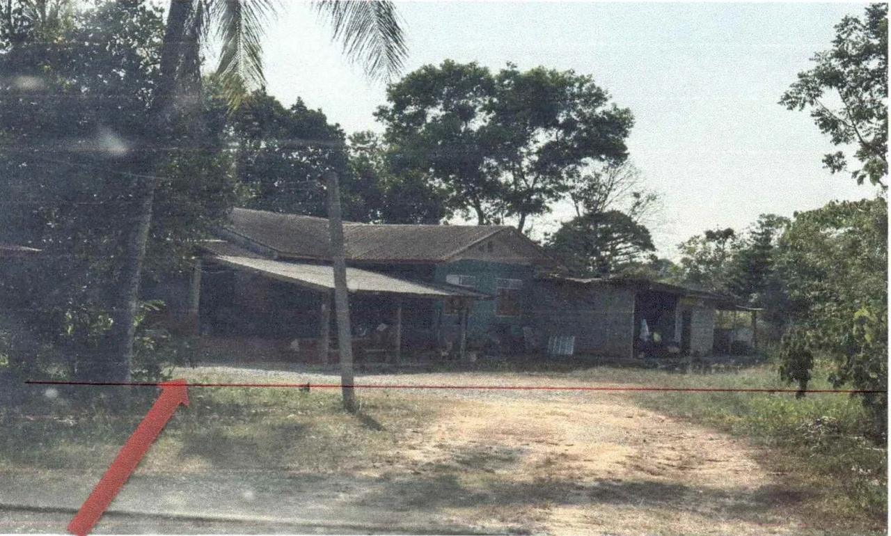 ขายทอดตลาด ที่ดินพร้อมสิ่งปลูกสร้าง ต.ร่องจิก อ.ภูเรือ จ.เลย