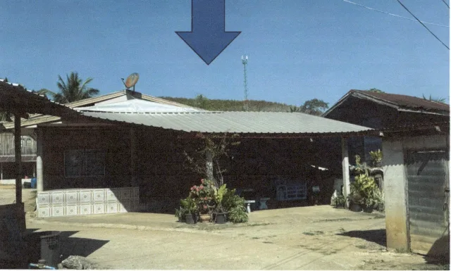 ขายทอดตลาด ที่ดินพร้อมสิ่งปลูกสร้าง ต.เสี้ยว อ.เมืองเลย จ.เลย