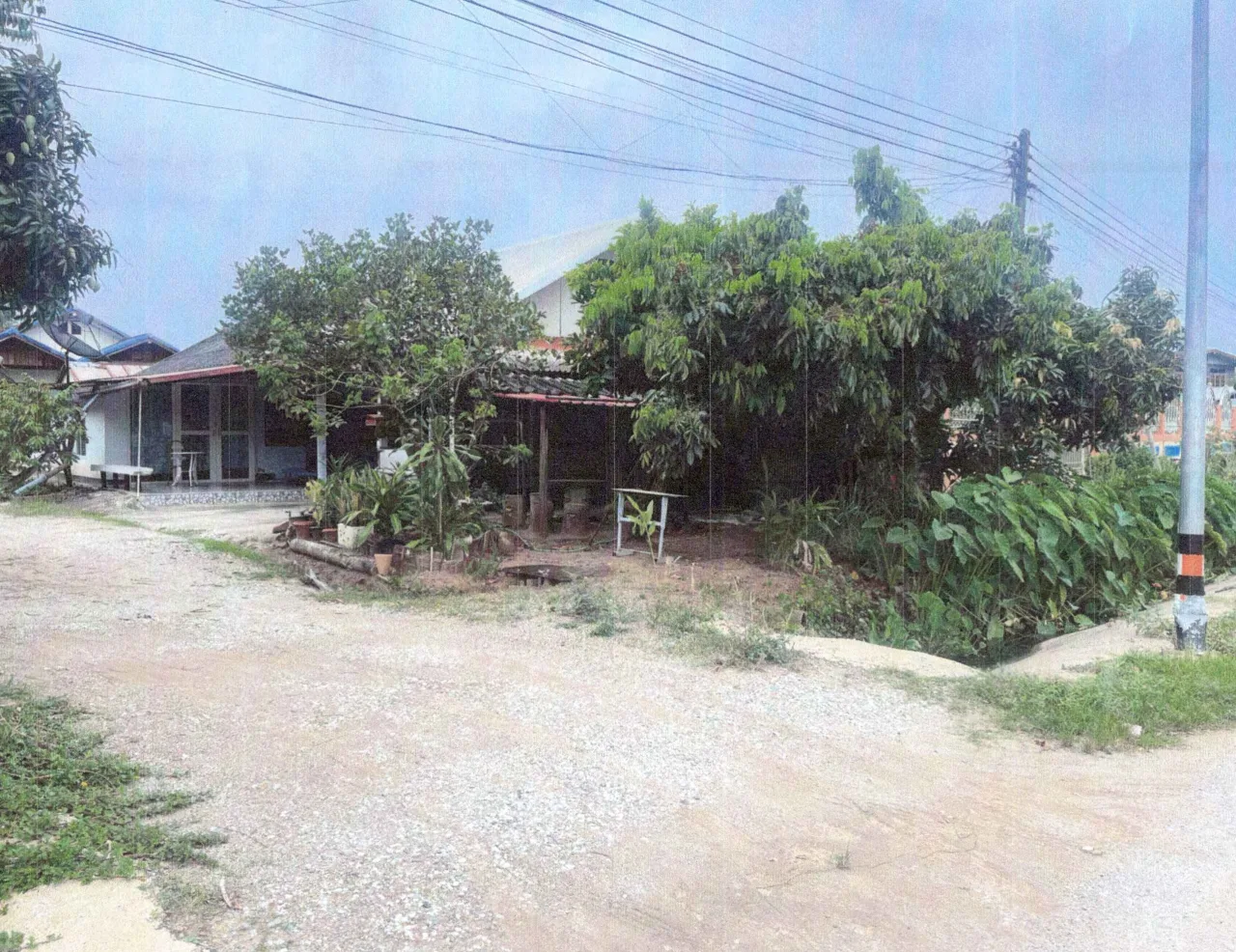 ขายทอดตลาด ที่ดินพร้อมสิ่งปลูกสร้าง ต.วังสะพุง อ.วังสะพุง จ.เลย