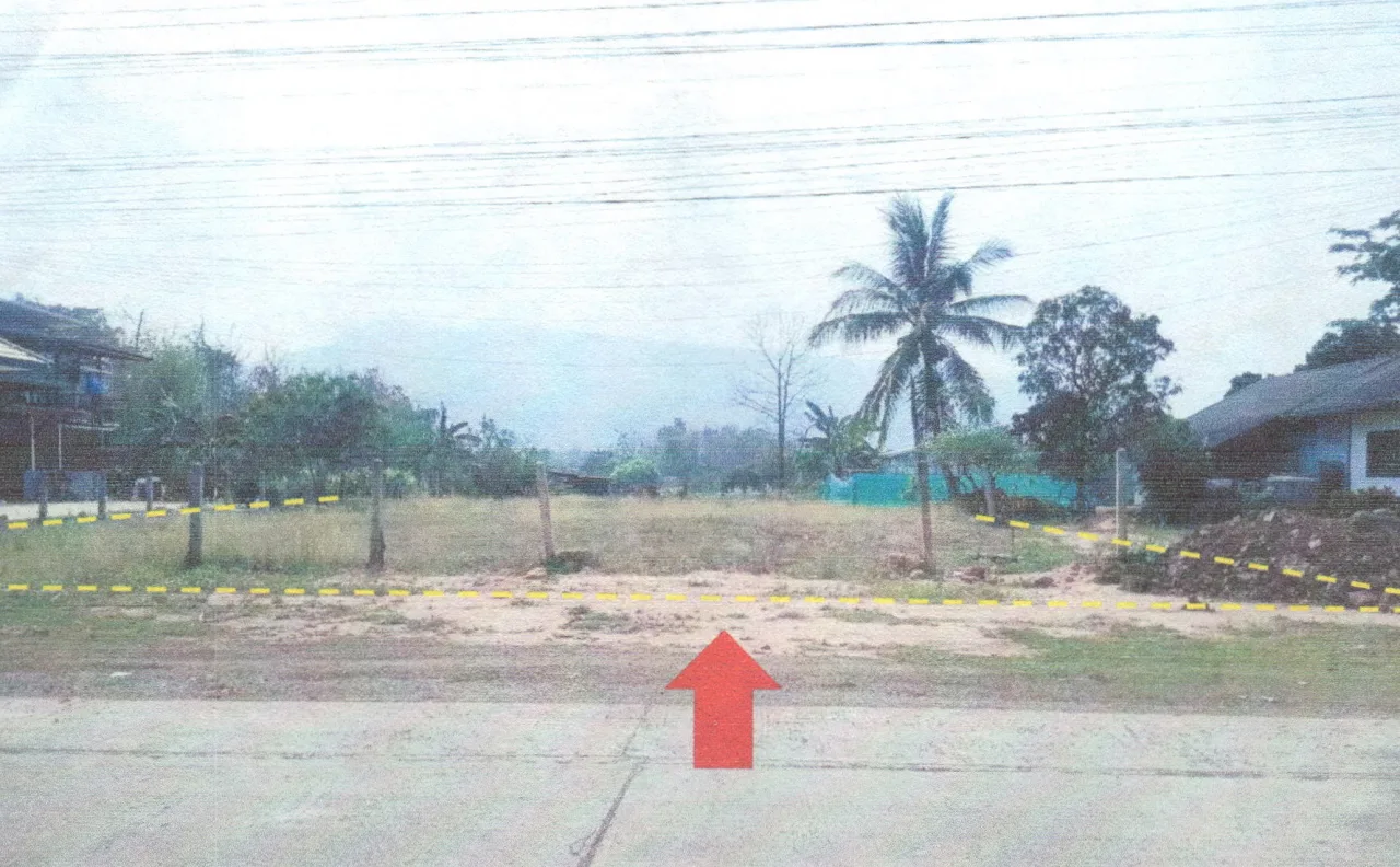 ขายทอดตลาด ที่ดินว่างเปล่า ต.ภูกระดึง อ.ภูกระดึง จ.เลย