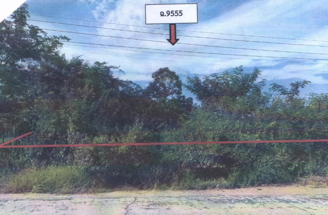 ขายทอดตลาด ที่ดินว่างเปล่า ต.เสียว อ.เบญจลักษ์ จ.ศรีสะเกษ
