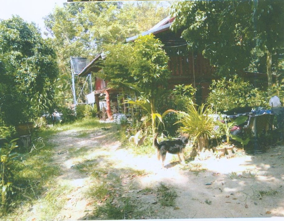 ขายทอดตลาด ที่ดินพร้อมสิ่งปลูกสร้าง ต.บก อ.โนนคูณ จ.ศรีสะเกษ