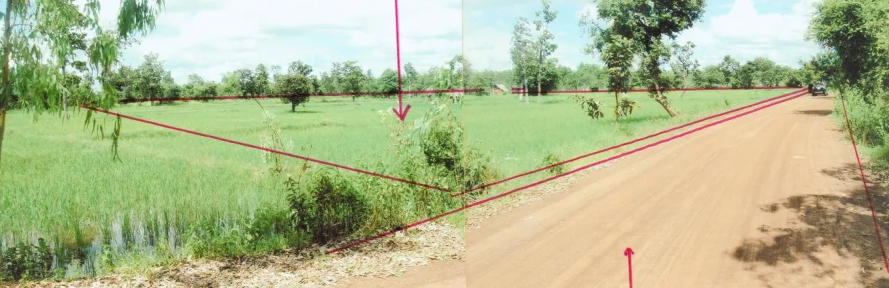 ขายทอดตลาด ที่ดินว่างเปล่า ต.หนองหว้า อ.กันทรลักษ์ จ.ศรีสะเกษ