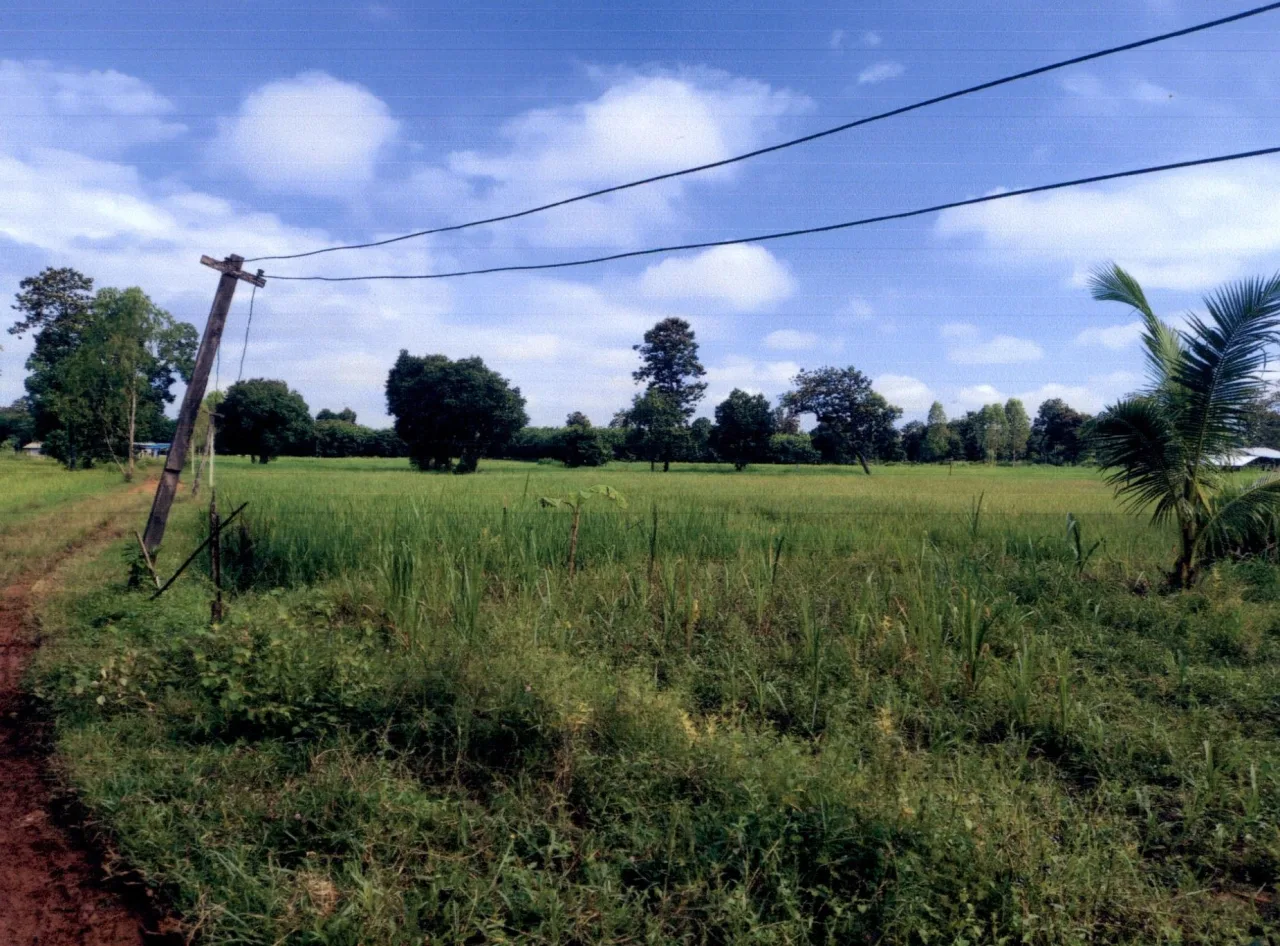 ขายทอดตลาด ที่ดินว่างเปล่า ต.หนองหว้า อ.เบญจลักษ์ จ.ศรีสะเกษ