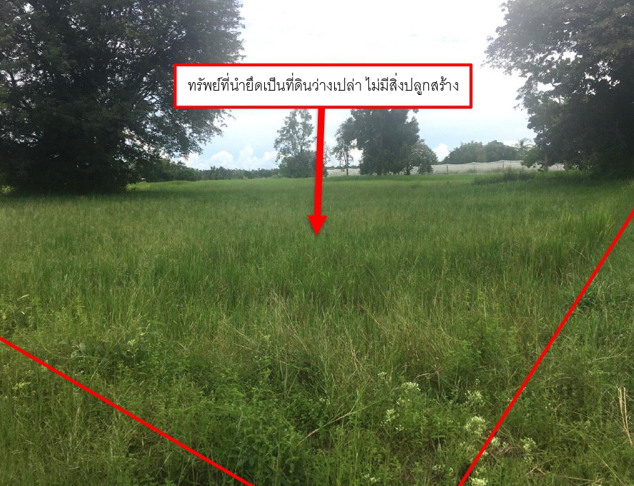 ขายทอดตลาด ที่ดินว่างเปล่า ต.หนองกุง อ.โนนคูณ จ.ศรีสะเกษ