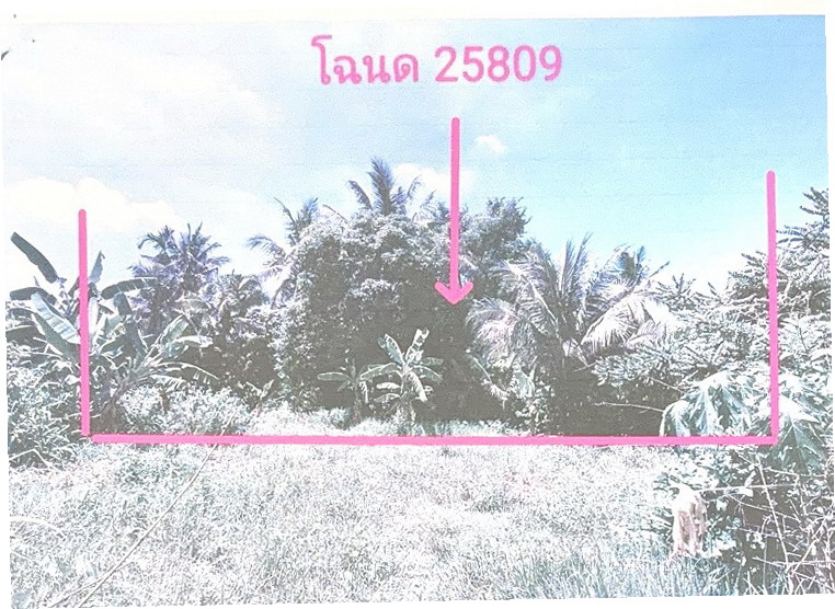ขายทอดตลาด ที่ดินว่างเปล่า ต.พราน อ.ขุนหาญ จ.ศรีสะเกษ