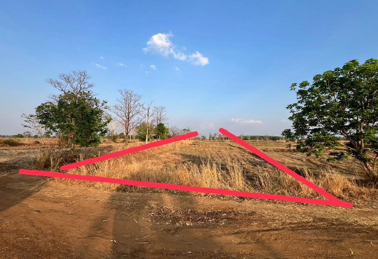 ขายทอดตลาด ที่ดินว่างเปล่า ต.เสื่องข้าว อ.ศรีรัตนะ จ.ศรีสะเกษ
