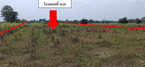 ขายทอดตลาด ที่ดินว่างเปล่า ต.บก อ.โนนคูณ จ.ศรีสะเกษ