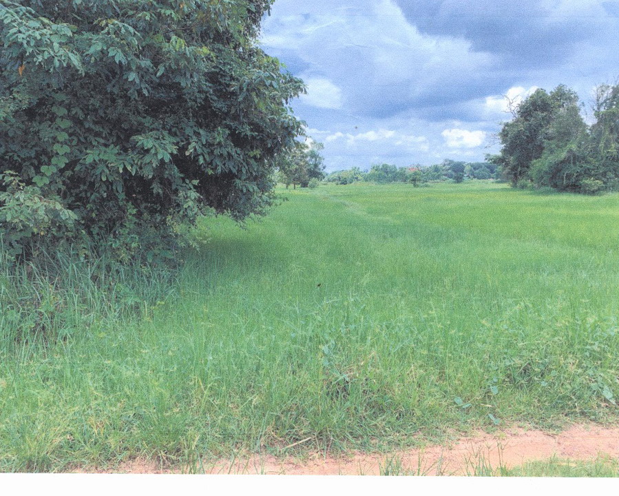 ขายทอดตลาด ที่ดินว่างเปล่า ต.สังเม็ก อ.กันทรลักษ์ จ.ศรีสะเกษ