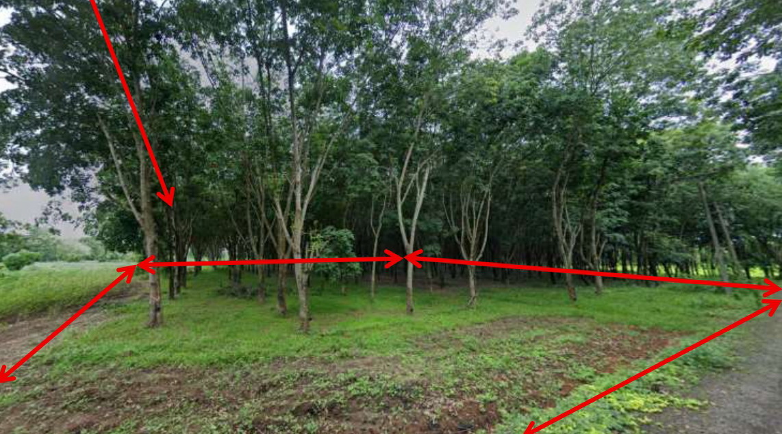 ขายทอดตลาด ที่ดินว่างเปล่า ต.กุดเสลา อ.กันทรลักษ์ จ.ศรีสะเกษ