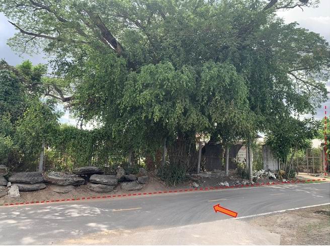 ขายทอดตลาด ที่ดินว่างเปล่า ต.สิ อ.ขุนหาญ จ.ศรีสะเกษ