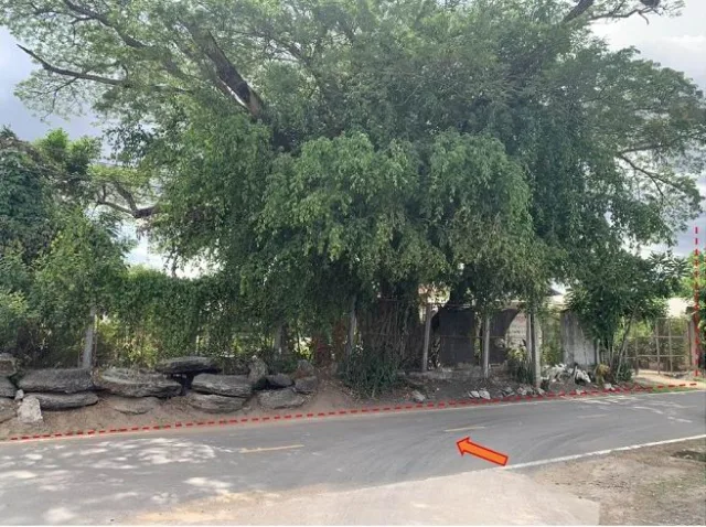 ขายทอดตลาด ที่ดินว่างเปล่า ต.สิ อ.ขุนหาญ จ.ศรีสะเกษ