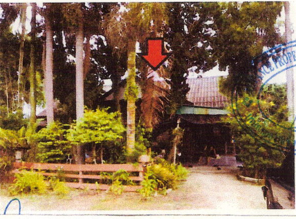 ขายทอดตลาด ที่ดินพร้อมสิ่งปลูกสร้าง ต.บ้านโป่ง อ.เวียงป่าเป้า จ.เชียงราย