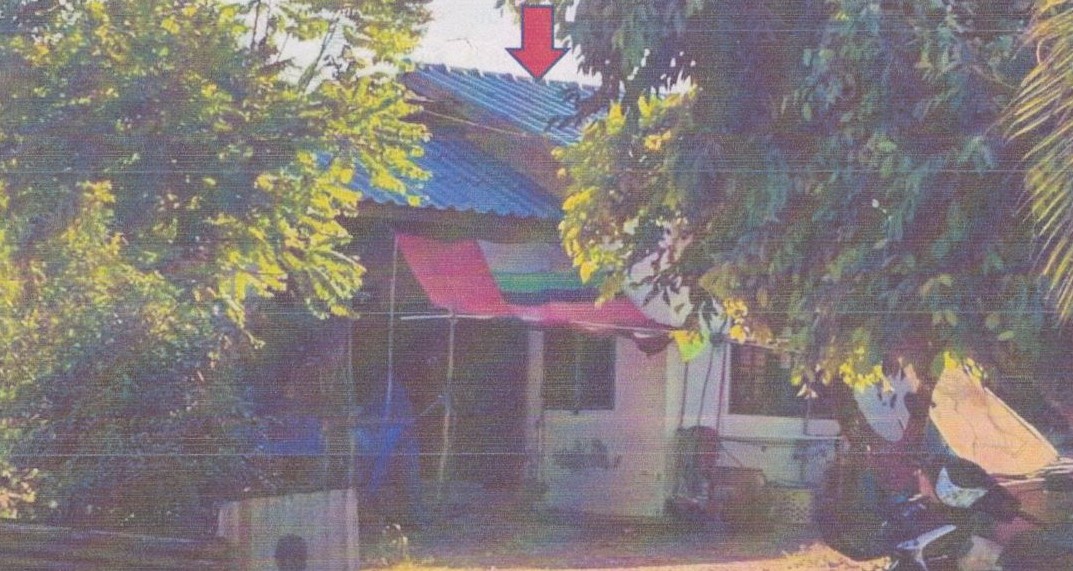 ขายทอดตลาด ที่ดินพร้อมสิ่งปลูกสร้าง ต.หนองบัวบาน อ.จัตุรัส จ.ชัยภูมิ
