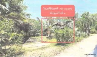 รูปทรัพย์ 1