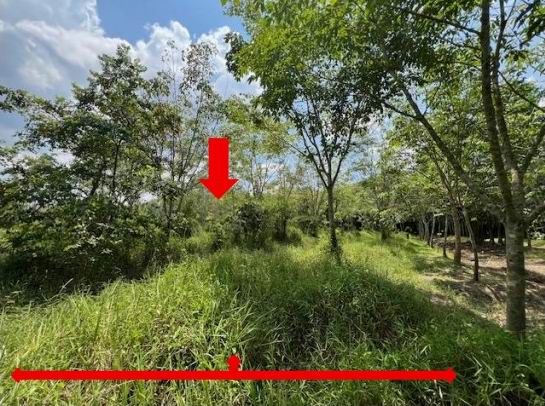 ขายทอดตลาด ที่ดินว่างเปล่า ต.ขุนตัดหวาย อ.จะนะ จ.สงขลา