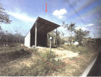 ขายทอดตลาด ที่ดินพร้อมสิ่งปลูกสร้าง ต.ปาดังเบซาร์ อ.สะเดา จ.สงขลา