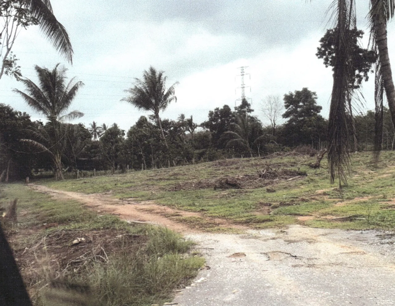 ขายทอดตลาด ที่ดินว่างเปล่า ต.ท่าม่วง อ.เทพา จ.สงขลา