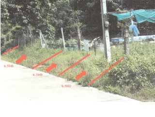 รูปทรัพย์ 2