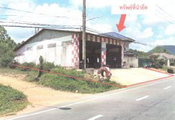 ขายทอดตลาด ที่ดินพร้อมสิ่งปลูกสร้าง ต.เขามีเกียรติ อ.สะเดา จ.สงขลา