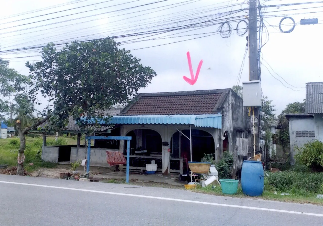 ขายทอดตลาด ที่ดินพร้อมสิ่งปลูกสร้าง ต.นาทับ อ.จะนะ จ.สงขลา