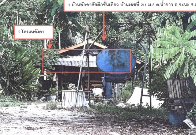 ขายทอดตลาด ที่ดินพร้อมสิ่งปลูกสร้าง ต.น้ำขาว อ.จะนะ จ.สงขลา