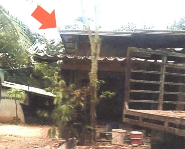 ขายทอดตลาด ที่ดินพร้อมสิ่งปลูกสร้าง ต.ธารคีรี อ.สะบ้าย้อย จ.สงขลา