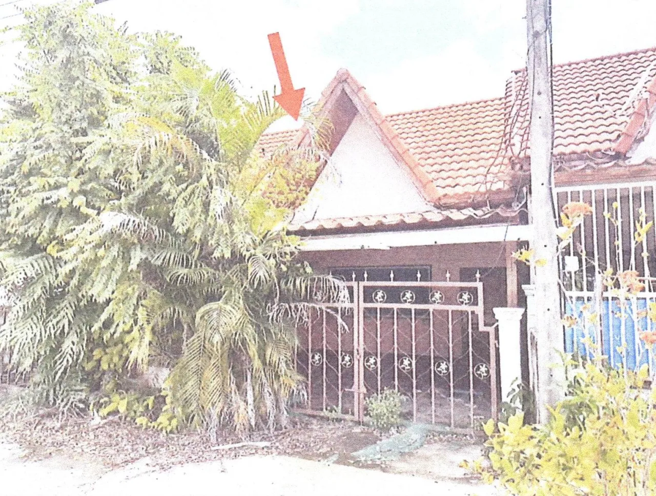 ขายทอดตลาด ที่ดินพร้อมสิ่งปลูกสร้าง ต.สำนักขาม อ.สะเดา จ.สงขลา