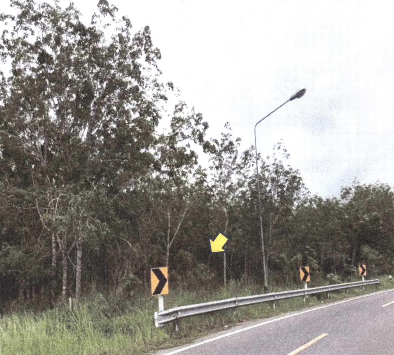 ขายทอดตลาด ที่ดินว่างเปล่า จ.สงขลา