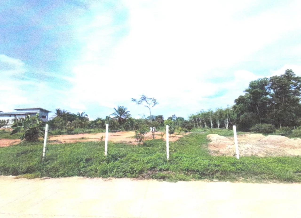 ขายทอดตลาด ที่ดินว่างเปล่า จ.สงขลา