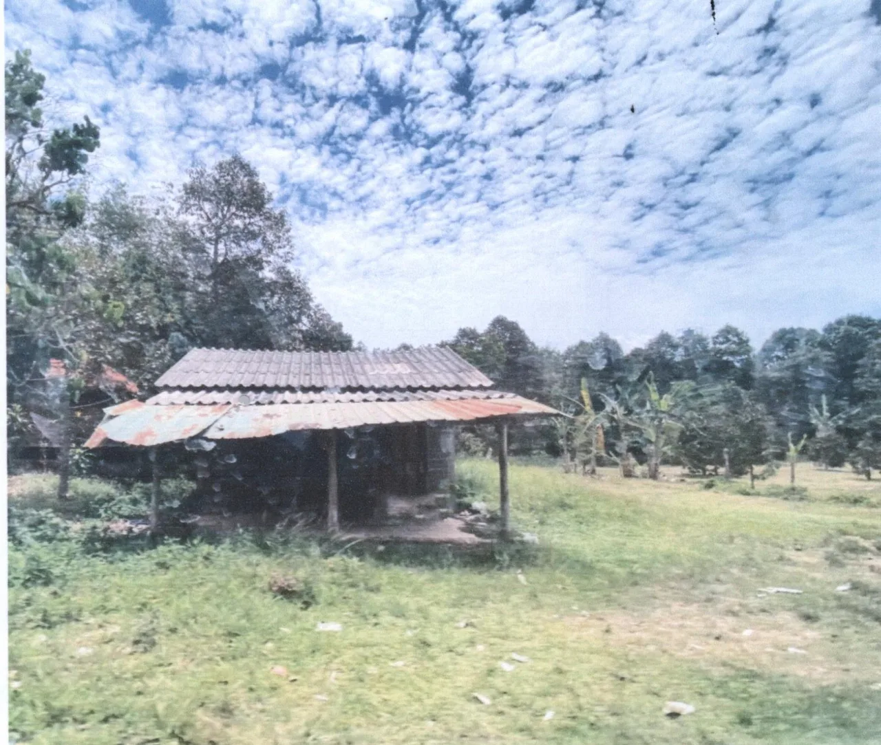 ขายทอดตลาด ที่ดินพร้อมสิ่งปลูกสร้าง ต.ทุ่งพอ อ.สะบ้าย้อย จ.สงขลา