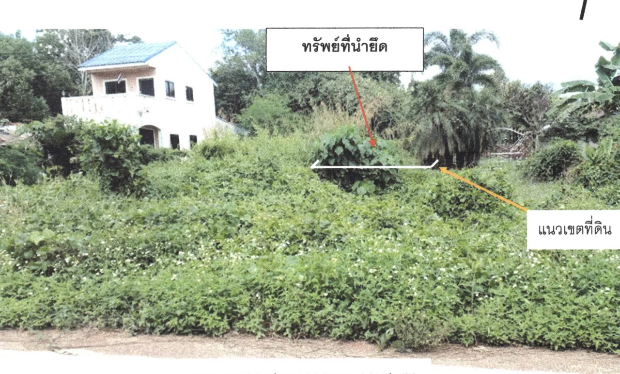 ขายทอดตลาด ที่ดินว่างเปล่า ต.ทุ่งหมอ อ.สะเดา จ.สงขลา