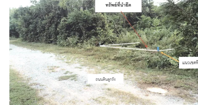 ขายทอดตลาด ที่ดินว่างเปล่า ต.พังลา อ.สะเดา จ.สงขลา