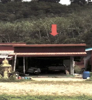 รูปทรัพย์ 2