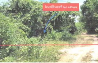 รูปทรัพย์ 1