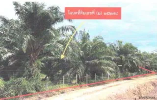 รูปทรัพย์ 2