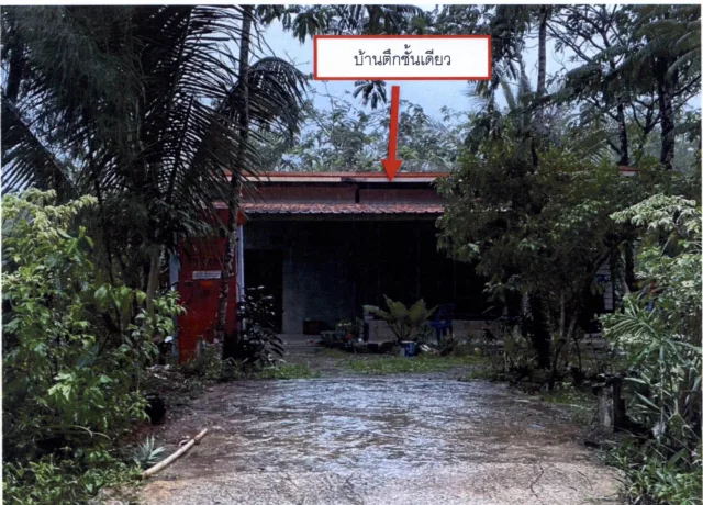 ขายทอดตลาด ที่ดินพร้อมสิ่งปลูกสร้าง ต.สำนักแต้ว อ.สะเดา จ.สงขลา