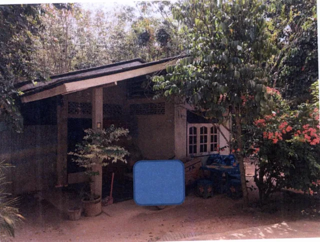 ขายทอดตลาด ที่ดินพร้อมสิ่งปลูกสร้าง ต.บ้านนา อ.จะนะ จ.สงขลา
