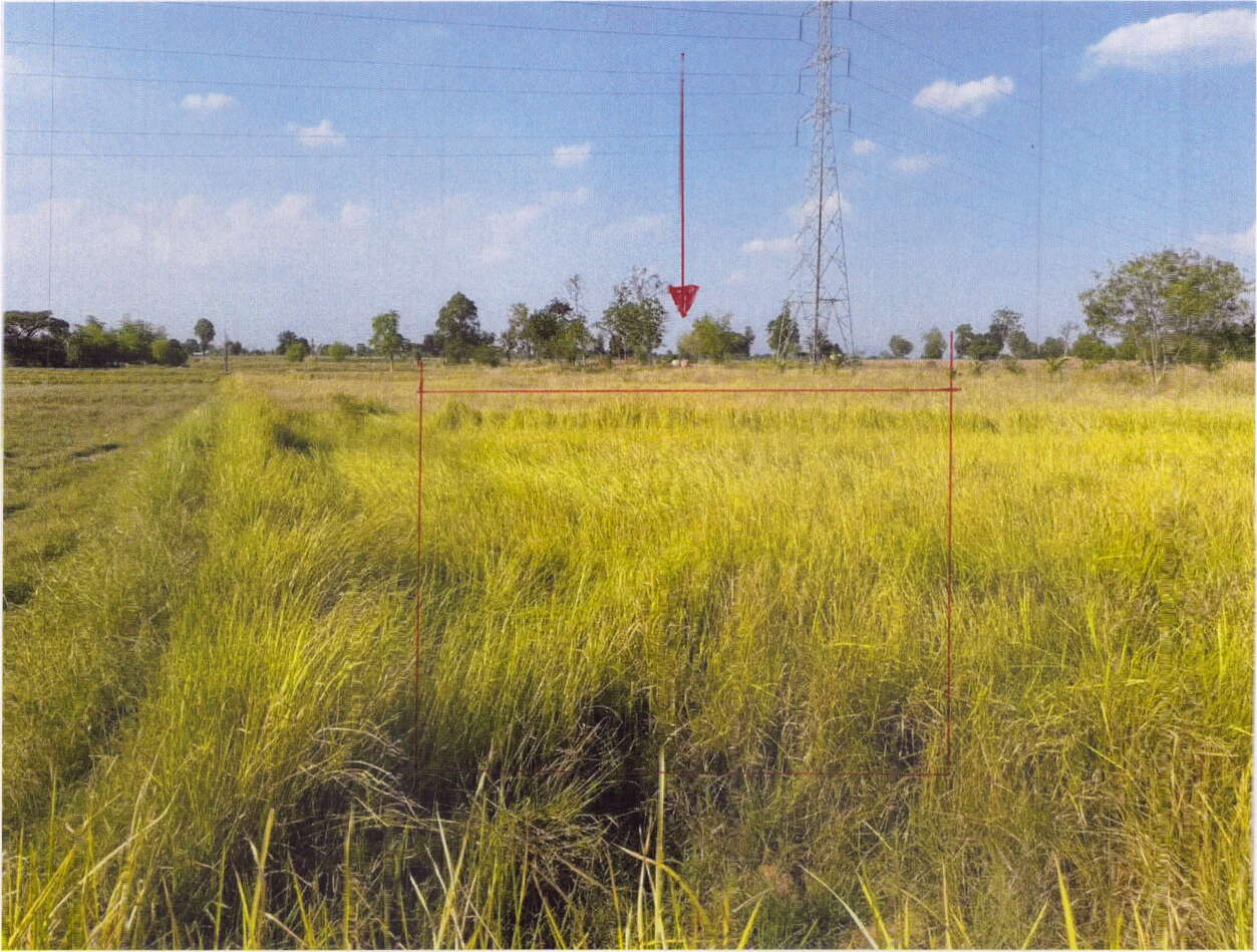 ขายทอดตลาด ที่ดินว่างเปล่า ต.ชีลอง อ.เมืองชัยภูมิ จ.ชัยภูมิ