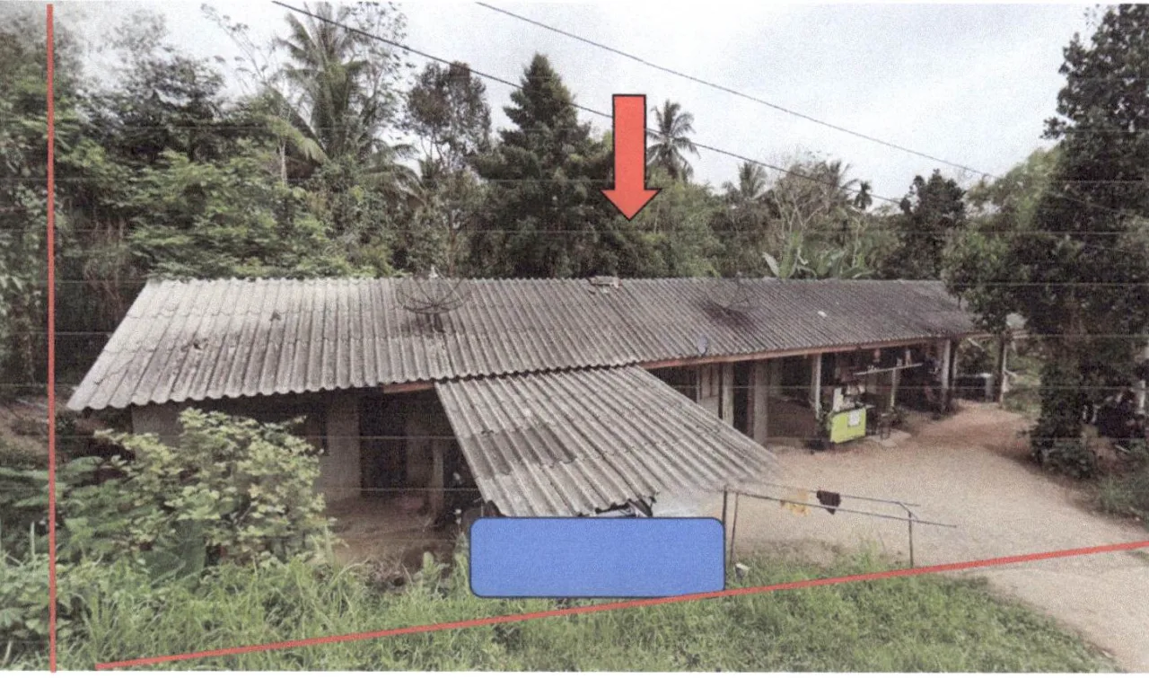 ขายทอดตลาด ที่ดินพร้อมสิ่งปลูกสร้าง ต.ทับช้าง อ.นาทวี จ.สงขลา