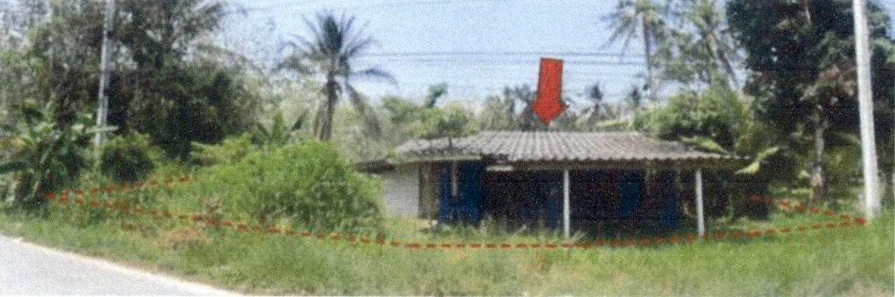 ขายทอดตลาด ที่ดินพร้อมสิ่งปลูกสร้าง ต.สะพานไม้แก่น อ.จะนะ จ.สงขลา