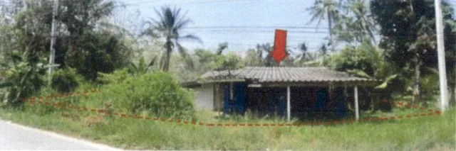 ขายทอดตลาด ที่ดินพร้อมสิ่งปลูกสร้าง ต.สะพานไม้แก่น อ.จะนะ จ.สงขลา