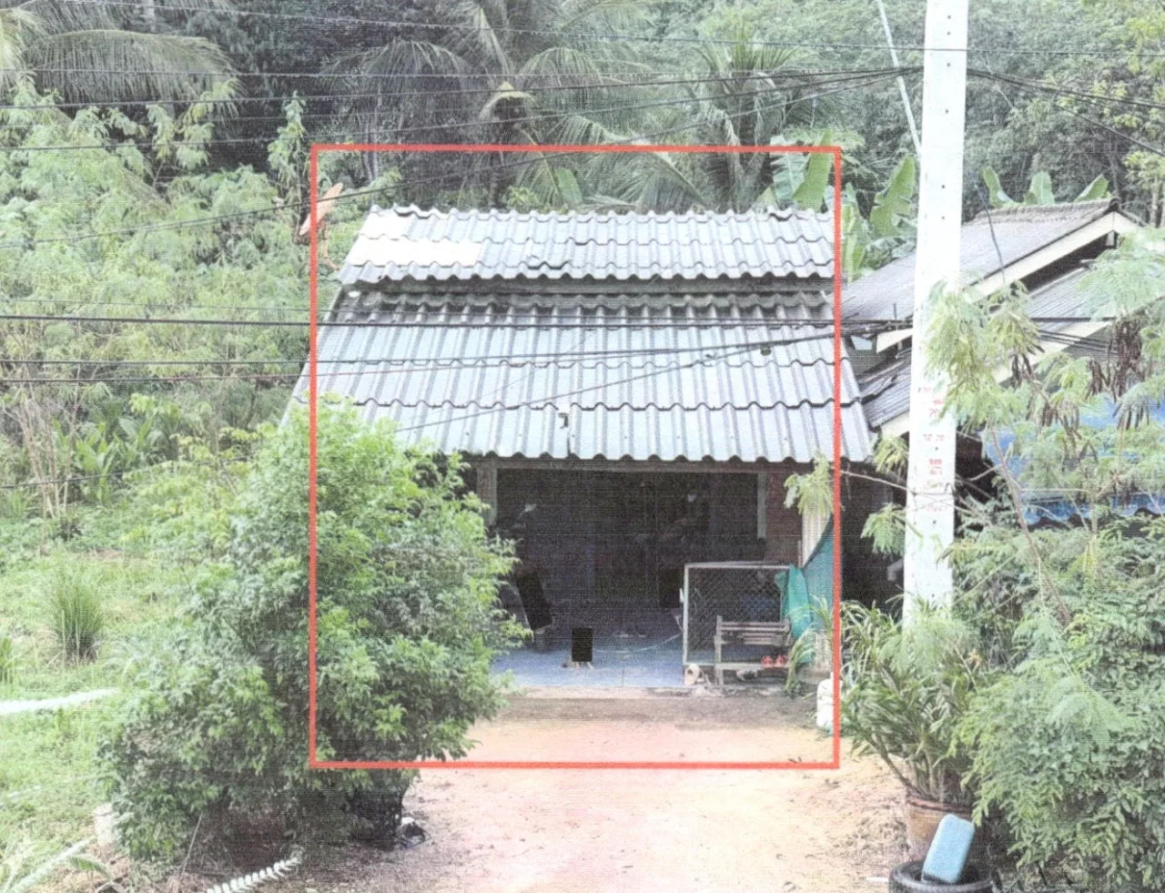 ขายทอดตลาด ที่ดินพร้อมสิ่งปลูกสร้าง ต.คลองทราย อ.นาทวี จ.สงขลา