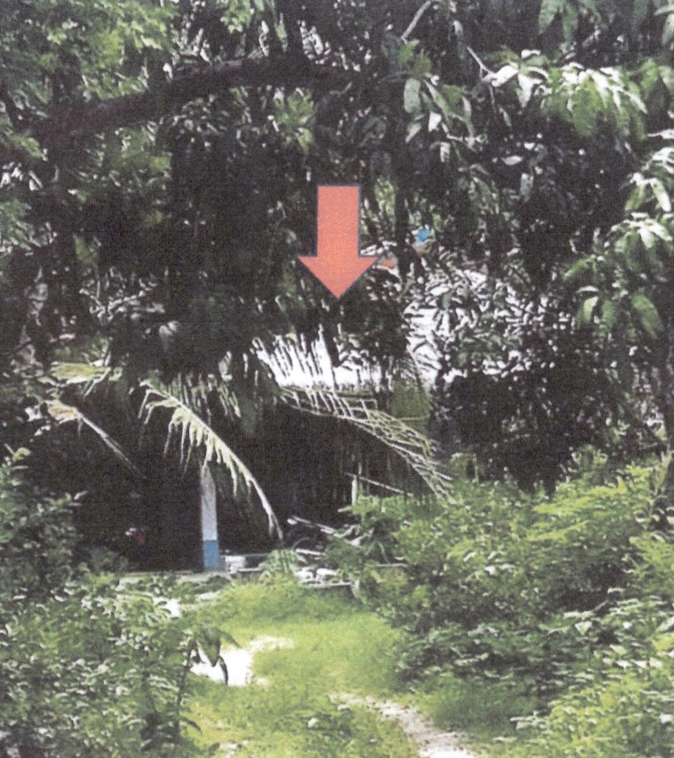 ขายทอดตลาด ที่ดินพร้อมสิ่งปลูกสร้าง ต.คลองเปียะ อ.จะนะ จ.สงขลา