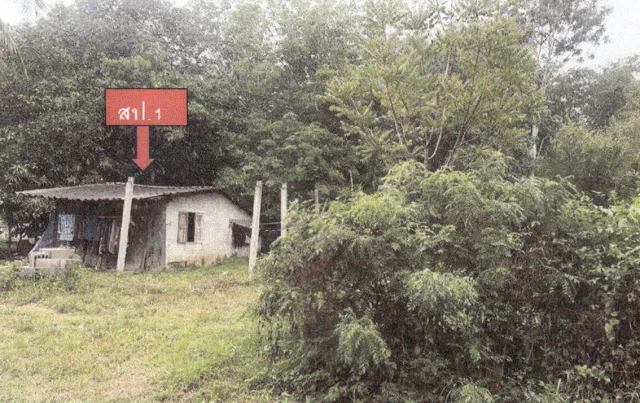 ขายทอดตลาด ที่ดินพร้อมสิ่งปลูกสร้าง ต.สำนักขาม อ.สะเดา จ.สงขลา