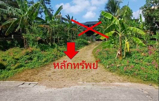 ขายทอดตลาด ที่ดินว่างเปล่า ต.สะเดา อ.สะเดา จ.สงขลา