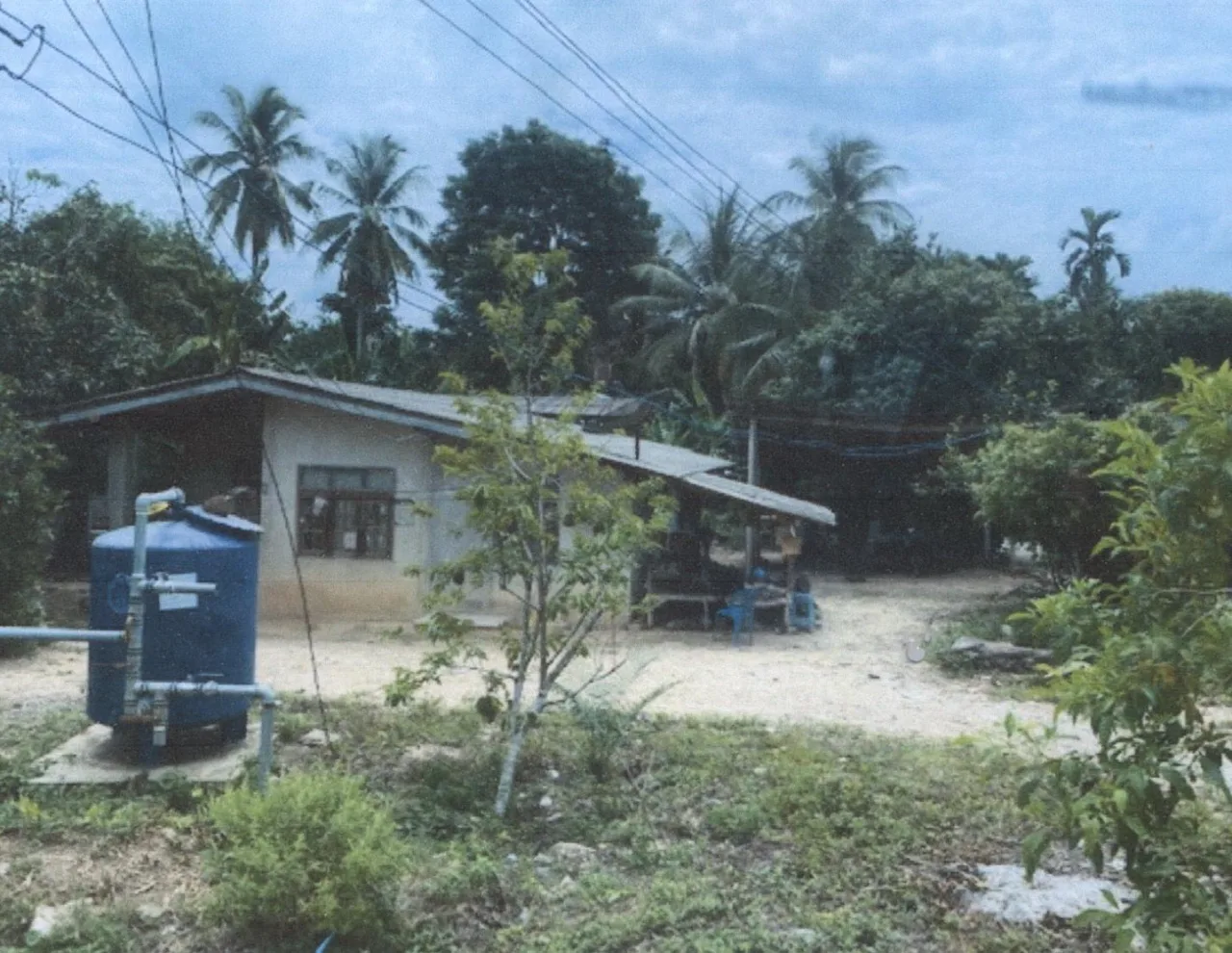 ขายทอดตลาด ที่ดินพร้อมสิ่งปลูกสร้าง ต.เปียน อ.สะบ้าย้อย จ.สงขลา