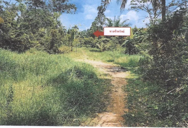 ขายทอดตลาด ที่ดินว่างเปล่า ต.ปลักหนู อ.นาทวี จ.สงขลา